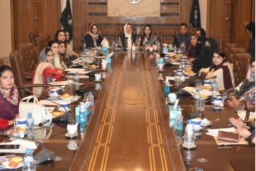 Meeting of Departmental Committee