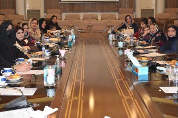  Meeting of Departmental Committee